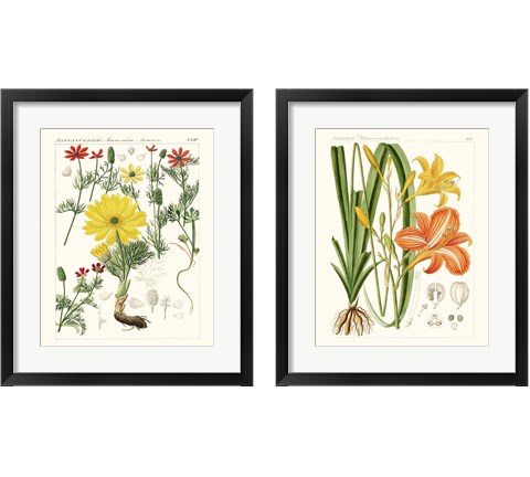 Bright Botanicals 2 Piece Framed Art Print Set