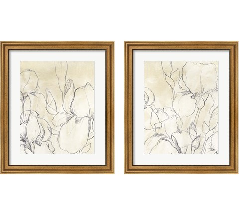 Iris Garden Sketch 2 Piece Framed Art Print Set by June Erica Vess