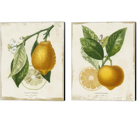 French Lemon 2 Piece Canvas Print Set by Studio W