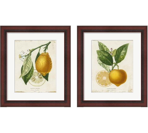 French Lemon 2 Piece Framed Art Print Set by Studio W