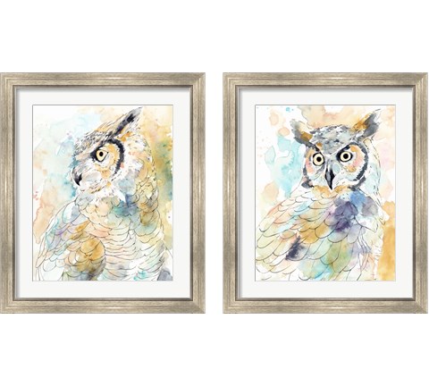 Owl Majestic 2 Piece Framed Art Print Set by Annie Warren