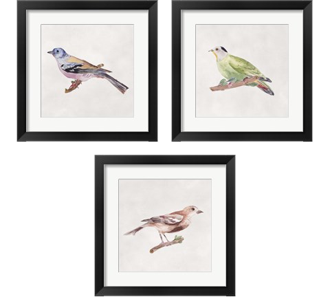 Bird Sketch 3 Piece Framed Art Print Set by Melissa Wang