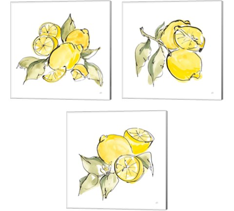Lemon Still Life 3 Piece Canvas Print Set by Chris Paschke