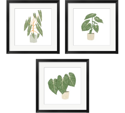 Philodendron Billietiae 3 Piece Framed Art Print Set by Bannarot