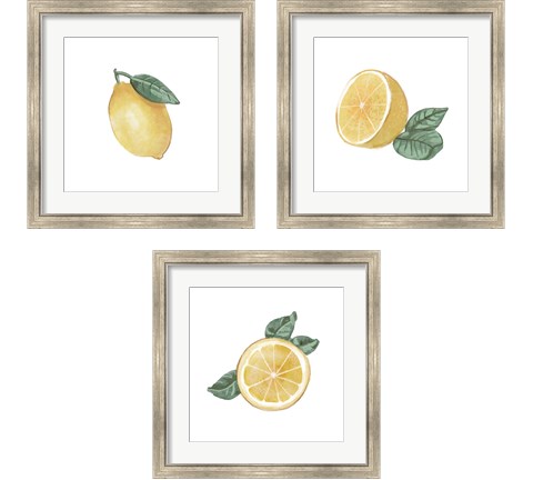 Citrus Limon 3 Piece Framed Art Print Set by Bannarot