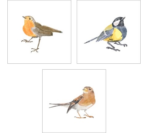 Songbird 3 Piece Art Print Set by Bannarot