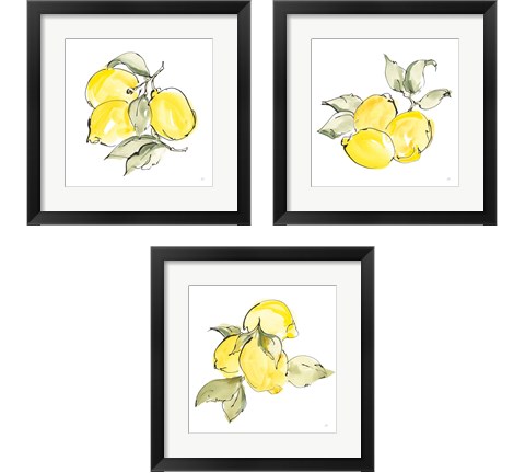 Lemons 3 Piece Framed Art Print Set by Chris Paschke