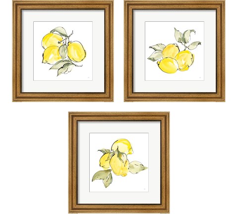 Lemons 3 Piece Framed Art Print Set by Chris Paschke