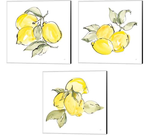 Lemons 3 Piece Canvas Print Set by Chris Paschke