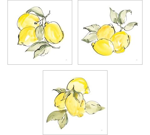 Lemons 3 Piece Art Print Set by Chris Paschke