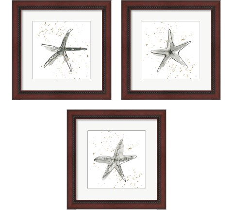 Starfish  3 Piece Framed Art Print Set by Chris Paschke
