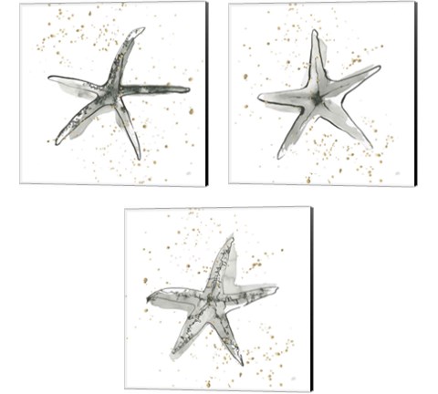 Starfish  3 Piece Canvas Print Set by Chris Paschke