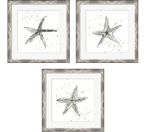 Starfish  3 Piece Framed Art Print Set by Chris Paschke