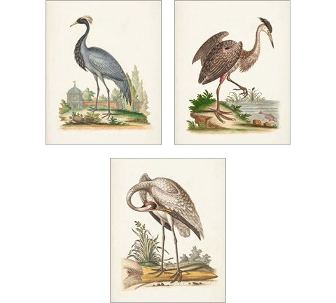 Antique Heron & Cranes 3 Piece Art Print Set by George Edwards
