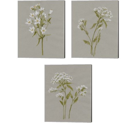 White Field Flowers 3 Piece Canvas Print Set by Jennifer Goldberger