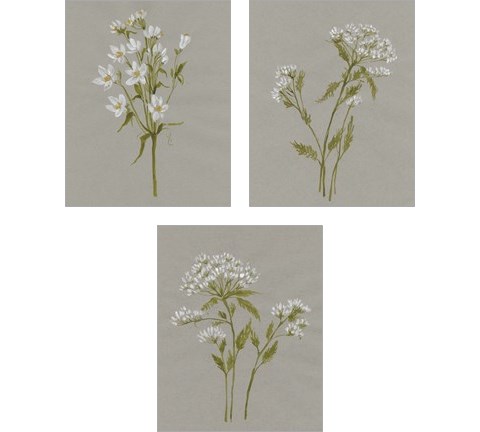 White Field Flowers 3 Piece Art Print Set by Jennifer Goldberger