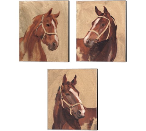 Thoroughbred 3 Piece Canvas Print Set by Jacob Green