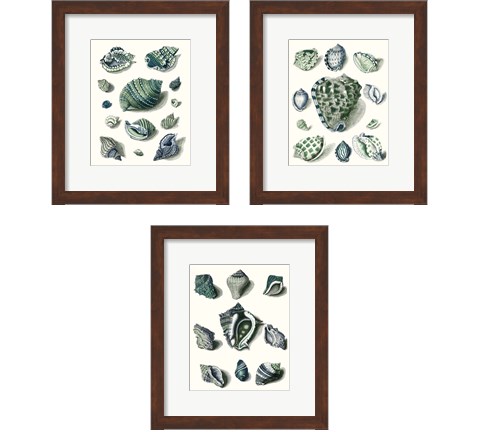Celadon Shells 3 Piece Framed Art Print Set by Vision Studio