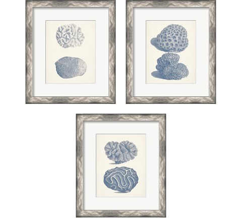 Antique Coral Collection 3 Piece Framed Art Print Set by Vision Studio