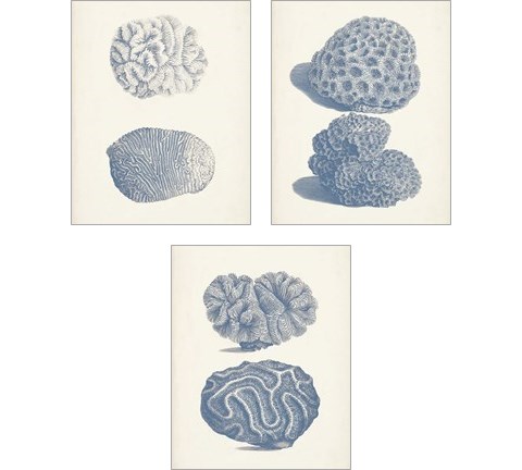 Antique Coral Collection 3 Piece Art Print Set by Vision Studio