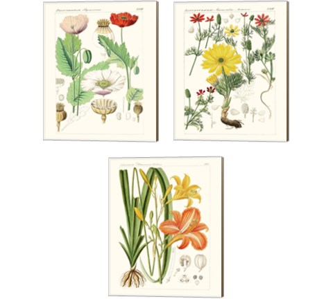 Bright Botanicals 3 Piece Canvas Print Set