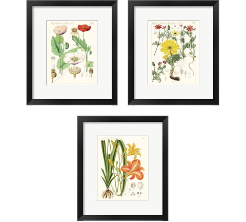 Bright Botanicals 3 Piece Framed Art Print Set