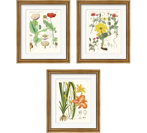 Bright Botanicals 3 Piece Framed Art Print Set