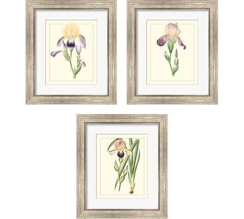 Purple Irises 3 Piece Framed Art Print Set