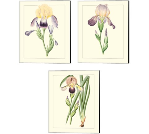 Purple Irises 3 Piece Canvas Print Set