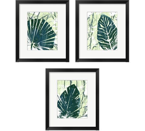 Palm Pastiche 3 Piece Framed Art Print Set by June Erica Vess