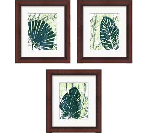 Palm Pastiche 3 Piece Framed Art Print Set by June Erica Vess