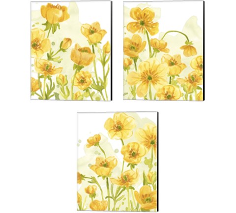 Sunshine Meadow 3 Piece Canvas Print Set by June Erica Vess