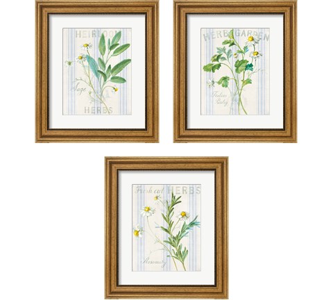 Floursack Herbs 3 Piece Framed Art Print Set by Danhui Nai