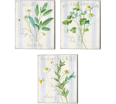 Floursack Herbs 3 Piece Canvas Print Set by Danhui Nai