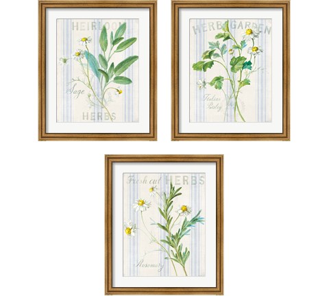Floursack Herbs 3 Piece Framed Art Print Set by Danhui Nai
