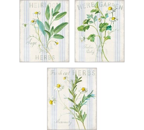 Floursack Herbs 3 Piece Art Print Set by Danhui Nai