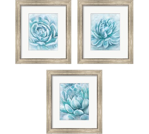 Aqua Succulen 3 Piece Framed Art Print Set by Ramona Murdock