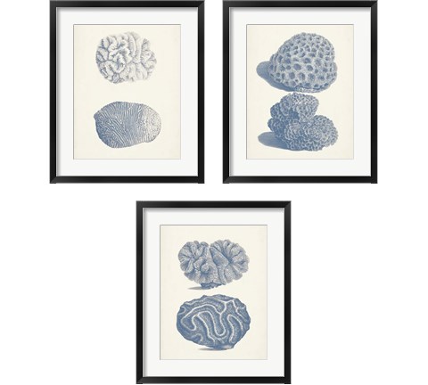 Antique Coral Collection 3 Piece Framed Art Print Set by Vision Studio