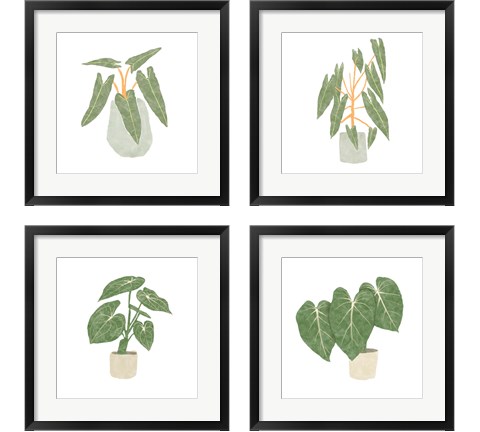 Philodendron Billietiae 4 Piece Framed Art Print Set by Bannarot