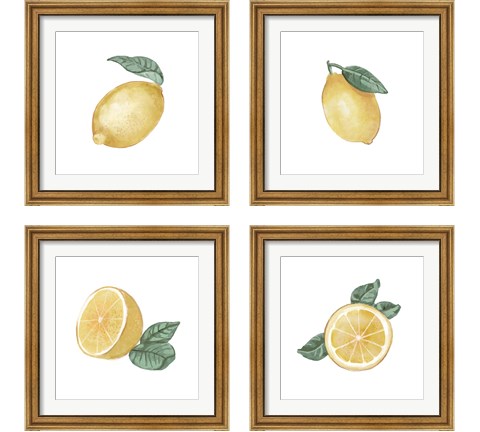 Citrus Limon 4 Piece Framed Art Print Set by Bannarot