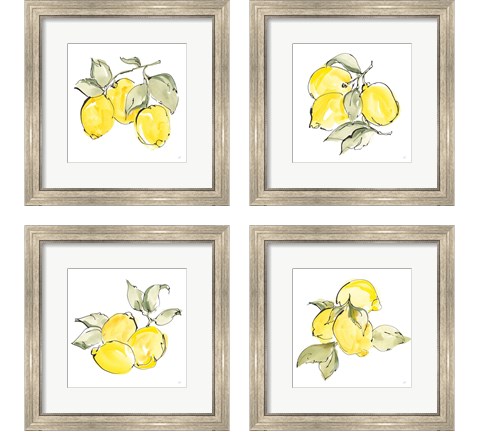 Lemons 4 Piece Framed Art Print Set by Chris Paschke