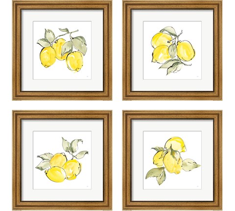 Lemons 4 Piece Framed Art Print Set by Chris Paschke