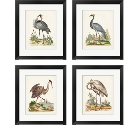 Antique Heron & Cranes 4 Piece Framed Art Print Set by George Edwards