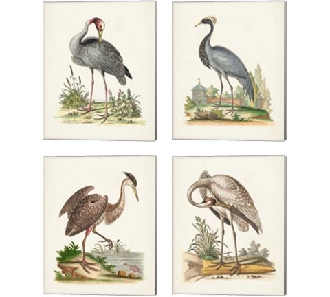 Antique Heron & Cranes 4 Piece Canvas Print Set by George Edwards