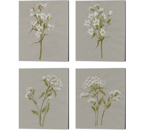 White Field Flowers 4 Piece Canvas Print Set by Jennifer Goldberger