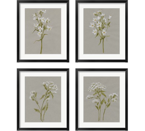 White Field Flowers 4 Piece Framed Art Print Set by Jennifer Goldberger