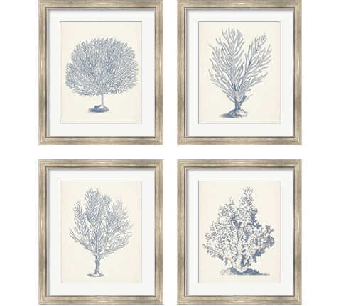 Antique Coral Collection 4 Piece Framed Art Print Set by Vision Studio