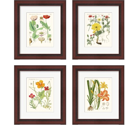 Bright Botanicals 4 Piece Framed Art Print Set