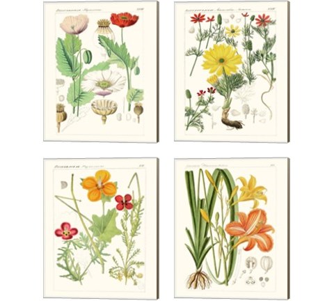 Bright Botanicals 4 Piece Canvas Print Set