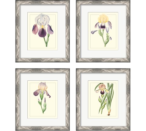 Purple Irises 4 Piece Framed Art Print Set